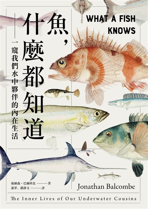 圖中有幾條魚|《魚，什麼都知道》：魚也懂少數服從多數的「民主」？ 